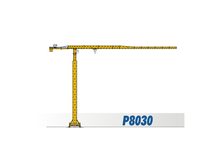 四川建设 P8030 起重机图片