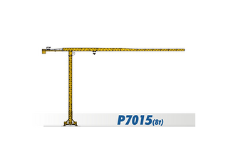 四川建設(shè) P7015（8t） 起重機(jī)圖片