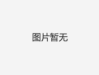 鼎元 DY18-9 挖掘机