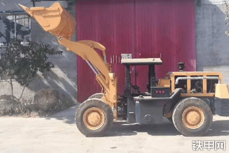 泰安国力ZL29装载机整机外观