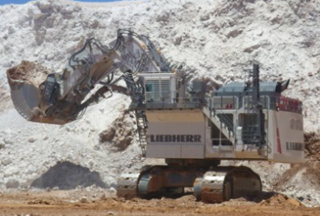 利勃海尔R9800矿用挖掘机整机外观