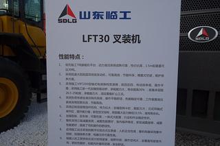 山东临工LFT30叉装车其他